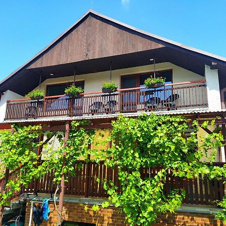Apartman U Spycharu Bile Policany Bagian luar foto